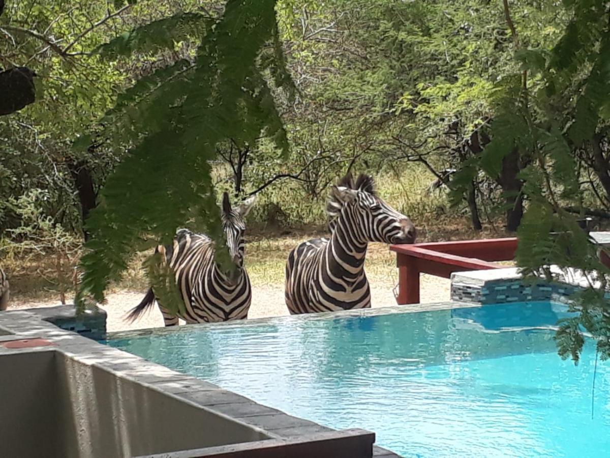 Turaco Lodge - No Loadshedding Marloth Park Exteriör bild