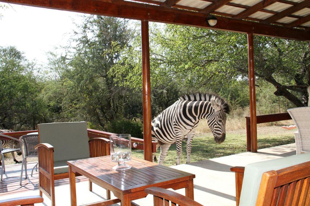 Turaco Lodge - No Loadshedding Marloth Park Exteriör bild